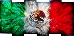 Chris DeRubeisArt titleMexican Flag 18x36